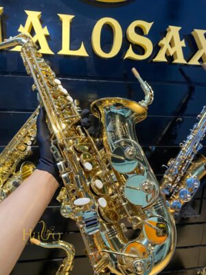 Trevor James - The Horn - Alto Saxophone - Gold Lacquer